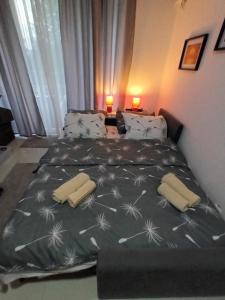 Ένα ή περισσότερα κρεβάτια σε δωμάτιο στο Apartman SILVER Srebrno jezero