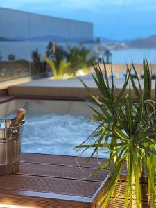 a potted plant sitting next to a swimming pool at Mato Luxury Apartments in Sarandë