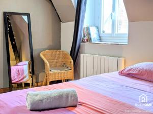 a bedroom with a bed and a mirror and a chair at Le Spacieux - Vue Loire - Queen Size - Free Parking in Orléans +10 photos