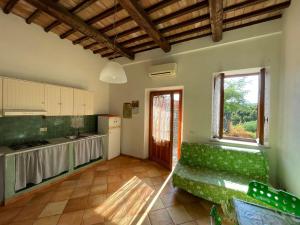 - une cuisine avec un canapé vert dans une chambre dans l'établissement Casa Ennio a Le Grotte - Relax totale tra mare e campagna, à Portoferraio