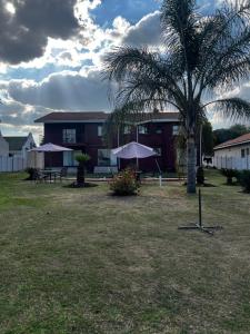a house with a palm tree and umbrellas in a yard at NKGuestHouse in Ladysmith