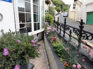 Fotografie z fotogalerie ubytování Edelweiss Guest House v destinaci Douglas