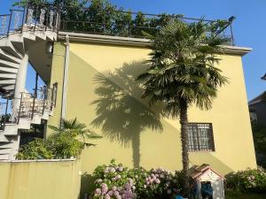 斯库台Xhou's Home的一座黄色的建筑，里面有一棵棕榈树和鲜花