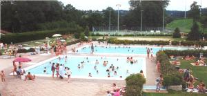 a group of people in a swimming pool at Haute-loire Tence Belle maison neuve plain-pied 4 étoiles avec parc arboré clos in Tence