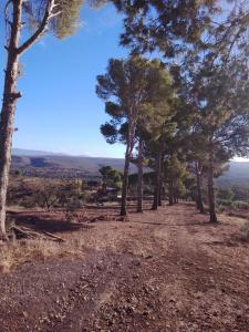 Paesaggio naturale nelle vicinanze dell'affittacamere