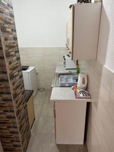 une petite cuisine avec un évier et un comptoir dans l'établissement Apartman Jezera, à Žabljak