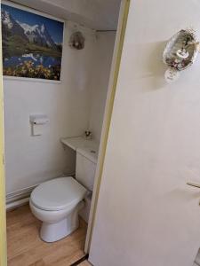 a bathroom with a toilet and a painting on the wall at Charmant chàlet douillet et cosy in Vigneux-sur-Seine
