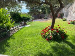 Gallery image of Kallithea in Iraklitsa +71 photos