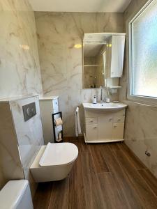 a bathroom with a toilet and a sink at Chalet Elli's Mountain View in Velje Selo +21 photos