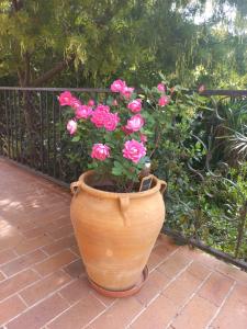 Κήπος έξω από το CHAMBRE lumineuse jardin arboré