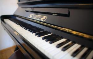 a close up of a piano keyboard at Seven-Bedroom Holiday Home In Remersdaal in Remersdaal