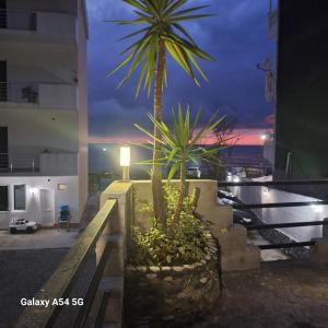 Foto dalla galleria di David Guest House a Sarpi