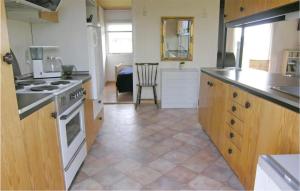 una cucina con fornelli e piano di lavoro di Holiday Home Svenstibakkevej Frøstrup Xii a Lild Strand