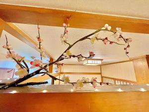 Fotografie z fotogalerie ubytování 上野公园日式民宿 v Tokiu