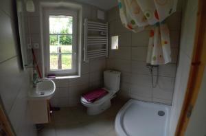 een badkamer met toilet, wastafel en raam bij Paisible Cahute in La Poterie-Mathieu