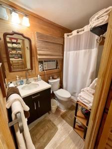 a bathroom with a toilet and a sink and a shower at Sunflower Cottage on the River in Clarksdale