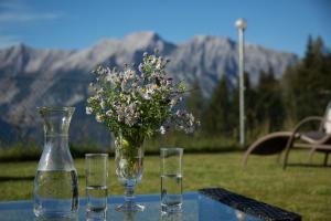Üldine mäevaade või majutusasutusest Alpenrelax Krepperhütte pildistatud vaade
