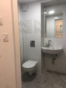 Koupelna v ubytování Borko Guest House + 37 fotografií