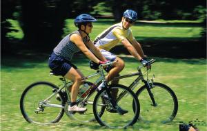 Jazda na bicykli v okolí ubytovania Two-Bedroom Holiday Home 0 In Filipana