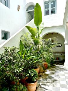 Zahrada ubytování Spacious Private Vejer Patio Home