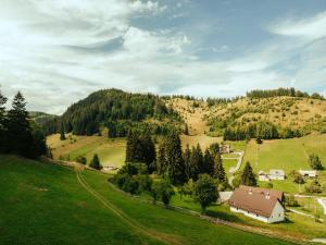 an aerial view of a farm with a house on a hill at Casa Todor Fundata in Fundăţica