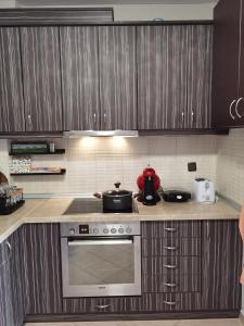 Gallery image of Dimitris apartment in Néa Péramos