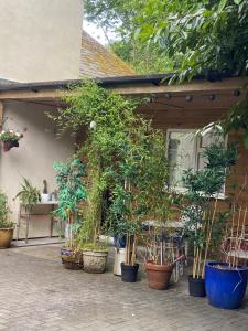 Afbeelding uit fotogalerij van Hillside Launceston Cornwall in Launceston