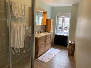 ein Badezimmer mit Waschbecken und Dusche in der Unterkunft Appartement Hôtel de la Gare 3 chambres in Château-du-Loir