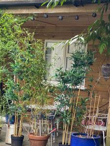 Afbeelding uit fotogalerij van Hillside Launceston Cornwall in Launceston