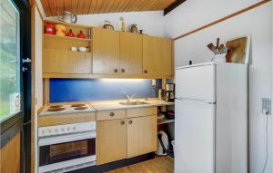 Dapur atau dapur kecil di Holiday Home Sitkavænget Idestrup