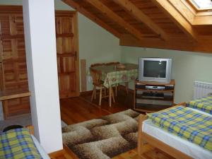 Μια τηλεόραση ή/και κέντρο ψυχαγωγίας στο Apartments Avlijaš