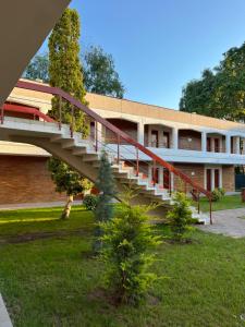 Zahrada ubytování Hotel Selena Boutique