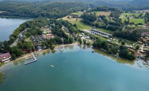 切米诺Bachus的相册照片