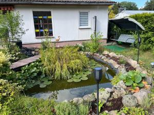 a garden with a pond with lilies in front of a house at Fewo Rudow in Leuengarten
