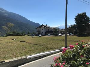 Príroda v okolí apartmánu