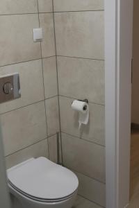 a bathroom with a toilet and a roll of toilet paper at Solaris-Winnica Hanna in Radomierzyce
