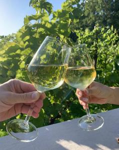 two people holding up glasses of white wine at Solaris-Winnica Hanna in Radomierzyce +21 photos