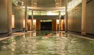 Πισίνα στο ή κοντά στο Park Hotel Kenmare