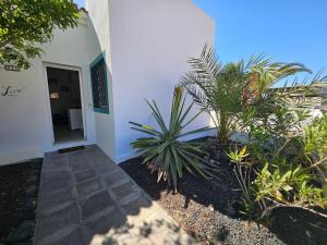 Zahrada ubytování Villa Leon