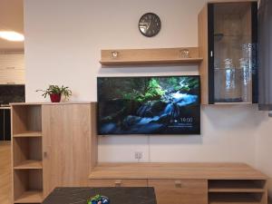 a flat screen tv on a wall in a living room at APARTMENT BELkA in Jesenice