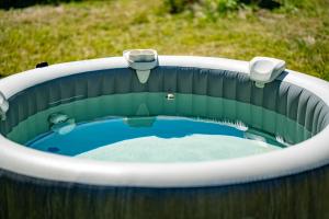 a pool of water in a bird bath at Pilwa 17 - Domek in Pilwa
