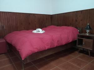 a bed with a pink comforter in a room at C'Aroma de Mujer in San Salvador de Jujuy +8 photos