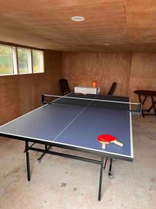 - une table de ping-pong dans une pièce avec une table de ping-pong dans l'établissement Lake of Tranquility, à Rotorua