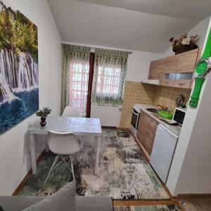 Kuchyň nebo kuchyňský kout v ubytování Hana Superior Apartments