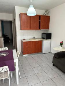 a kitchen with wooden cabinets and a table and a refrigerator at La kaza studio in Ofrínion