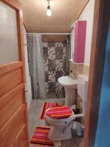 a bathroom with a toilet and a sink at Căsuța fă rai din ce ai in Buzău +43 photos