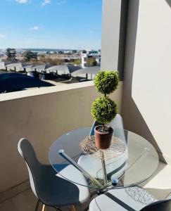 a glass table with a potted plant on a balcony at Dubai 8 in Midrand