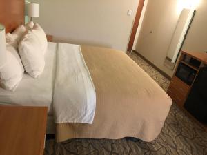 Postel nebo postele na pokoji v ubytování Aspen Hotel