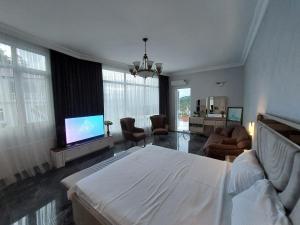 Zura palace TV 또는 엔터테인먼트 센터