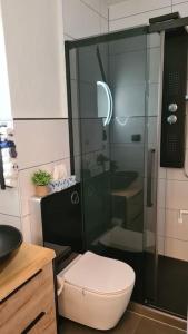 a bathroom with a toilet and a glass shower at Wilhelmshöhe Alle in Kassel